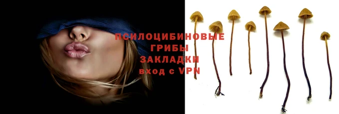 твердый Абинск