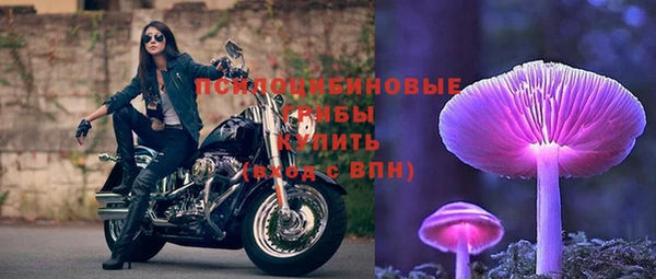 стаф Абдулино