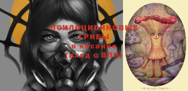 твердый Абинск