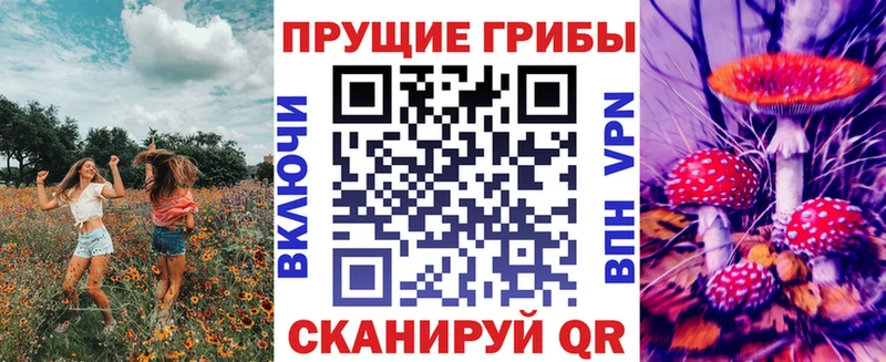 блэк спрут вход  Чебаркуль  Галлюциногенные грибы Cubensis 